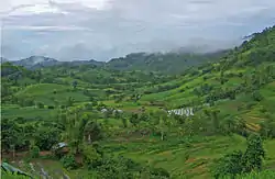 Mountain view showing a rice field in a rural area in Candoni