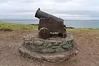 Cannon