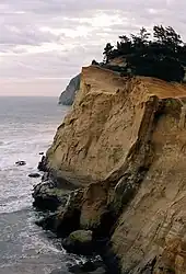 View from the trail on Cape Kiwanda