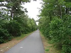 Cape Cod Rail Trail