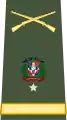 General de brigada(Dominican Army)