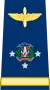 Teniente General