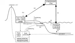 Carbon reservoirs and flows