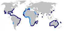 Dusky shark geographic range