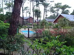 Cariló's characteristic chalets