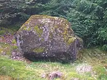 The Carlin Stone near Craigends Farm. 2007.