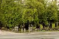 The Old Burying Ground in the center of town