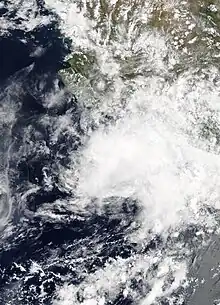  Visible satellite image of Tropical Depression Carlotta weakening off the southern coast of Mexico on June 18.