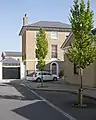 Newly planted Carpinus betulus 'Fastigiata' in Poundbury, Dorset, UK