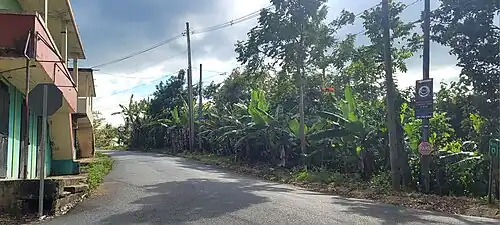 Puerto Rico Highway 4131 in La Torre