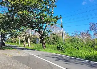 Puerto Rico Highway 6681 in Cambalache