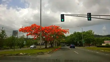 Puerto Rico Highway 8 in San Antón