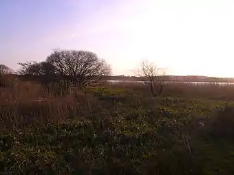 A view of Carrigogunnell Castle (visible in the background), from the Coonagh side of the Shannon