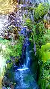 Laguna negra waterfall