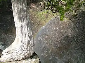 A rainbow over the Cascade River