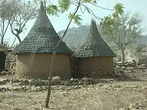 Houses in Koza