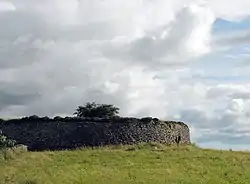 Cashel ring fort at Kilmovee