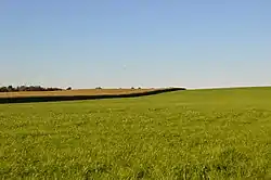 Arable land northwest of Casselman in the township