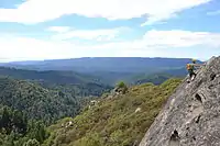 A rock climber