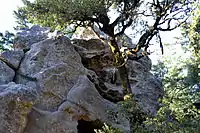 Castle Rock, the park's namesake.