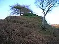 The Cat Craig showing the drystone walling.