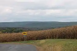 Catawissa Mountain in Roaring Creek Township