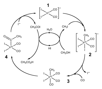 The catalytic cycle of the Cativa process.