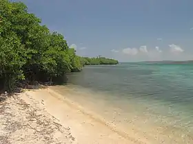 On the shore of Cayo Aurora