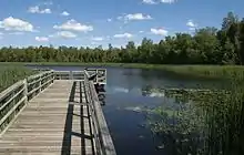 Pier on the lake