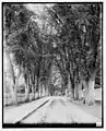 Cemetery Avenue approach to the gate (1905)