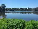 Thick bright green bushes grow on the near shore of a small, clear lake; trees stand on the far shore.