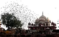 Moosi Rani Ki Chhatri, Alwar