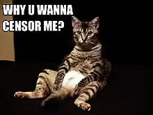 A picture of a striped cat in an apparent seated position with its legs spread, looking at the camera. In the upper left corner is the text "Why U Wanna Censor Me?" in white capital letters