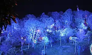 Nutibara during the Christmas lighting of Medellín