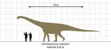 Light brown sauropod silhouette with a medium length neck, long tail and long limbs, shown beside two humans