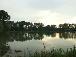 Bašta Pond