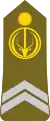 Caporal(Chadian Ground Forces)