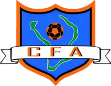 Shirt badge/Association crest