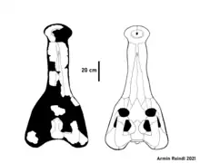 Reconstruction of referred specimen PRC102-143