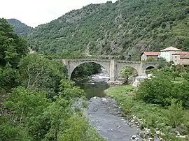 Chervil bridge