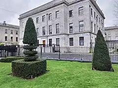 Yew topiary in the park