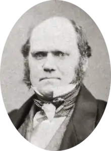 Studio photo showing Darwin's characteristic large forehead and bushy eyebrows with deep set eyes, pug nose and mouth set in a determined look;  he is bald on top, with dark hair and long side whiskers but no beard or moustache