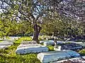 Landscape with coffins and tree