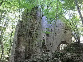 Chateau of Vaite