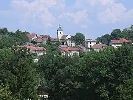 A general view of the village of Chaumont