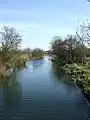 River Chelmer near Little Baddow