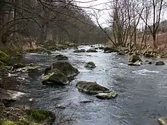 Chemnitz river at Schweizerthal in March 2016