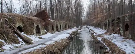 The 200 Cherry Valley Coke Ovens built around 1866