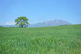 View of Mount Iwate from Koiwai farm park