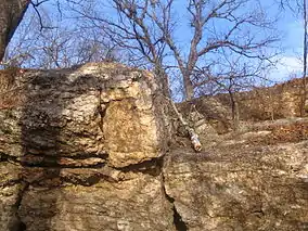 Boulders in Wildcat Glacdes Conservation Area